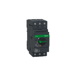 Thermal Circuit Breaker Tesys Schneider Electric GV3P65
