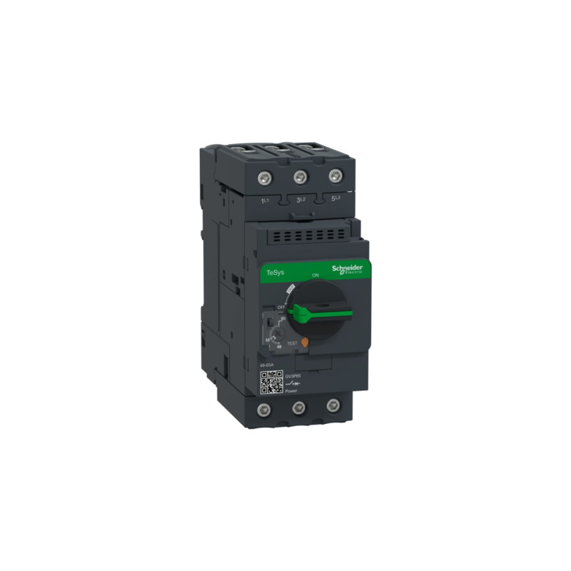 Thermal Circuit Breaker Tesys Schneider Electric GV3P65