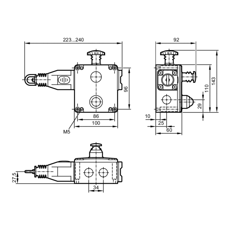 Rope Switch RH LED 24V DC Ifm