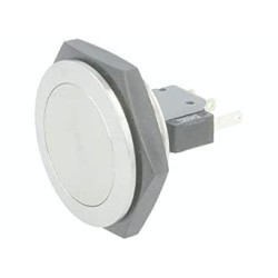 Vandal Resistant Switch, MSM II Series, 30 mm, SPDT, Momentary, Round Flat, Natural