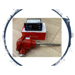 Temperature Sensor PTS-1B-6X100-A05