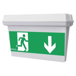 Hydra 3PLED Emergency Light, IP65 M/NM 3h