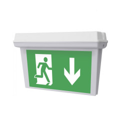 Šviestuvas Hydra 3PLED, evakuacinis IP65 M/NM 3h