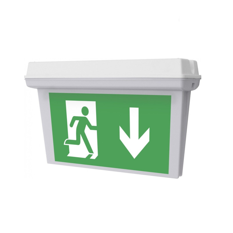 Šviestuvas Hydra 3PLED, evakuacinis IP65 M/NM 3h