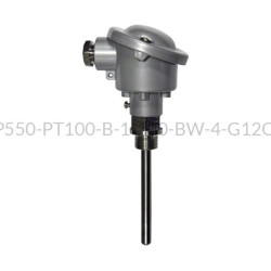 Temperatūros daviklis 2-CTP550-Pt100-B-300-6-G1/2-B-2