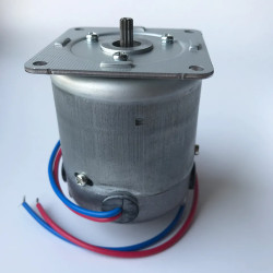 DC brushed motor Nidec
