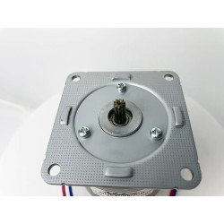 DC brushed motor Nidec
