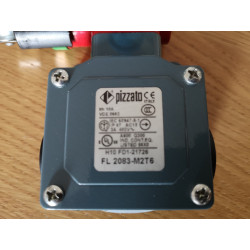 Pizzato FL 2083-M2T6