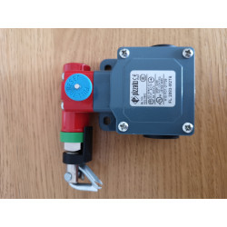 Pizzato FL 2083-M2T6