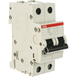 2CDS252001R0064 S202-C06 AUTO SWITCH 6 A 2P