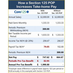 KD 463-125 HS 1m sekcija - Pakeitimui 40A versijoje