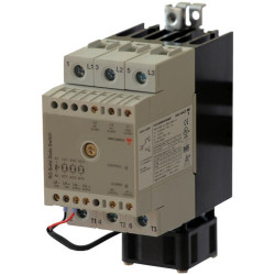 RGC3A60D40GGEDF Carlo Gavazzi