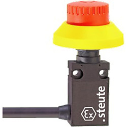 Ex 14 VR 2A 5m Position switch with safety function Steute
