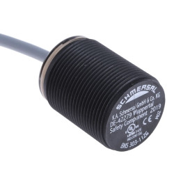 BNS 303-11ZG-ST - Automatizavimo komponentas