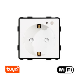Kištukinis lizdas su sąnaudu matuokliu Feelspot, WiFi Tuya