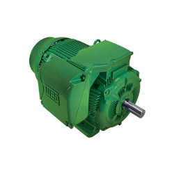 W22 IE3 Trifazis motoras - 13772486