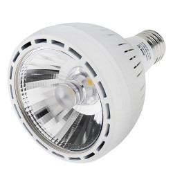LED prožektsu juddDav 30W 4000K 2400l