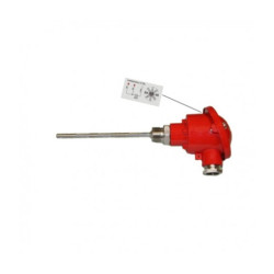 Temperatūros daviklis PT100B-6X150-A304-0000-3