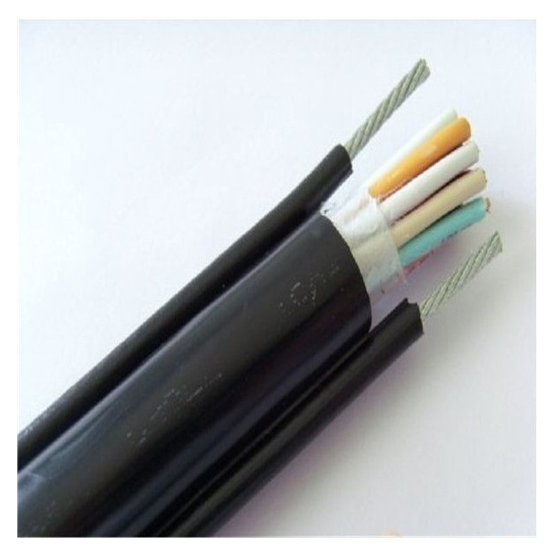 Indikatorius pan. N30U112600E0 - Reliable Measurement Indicator