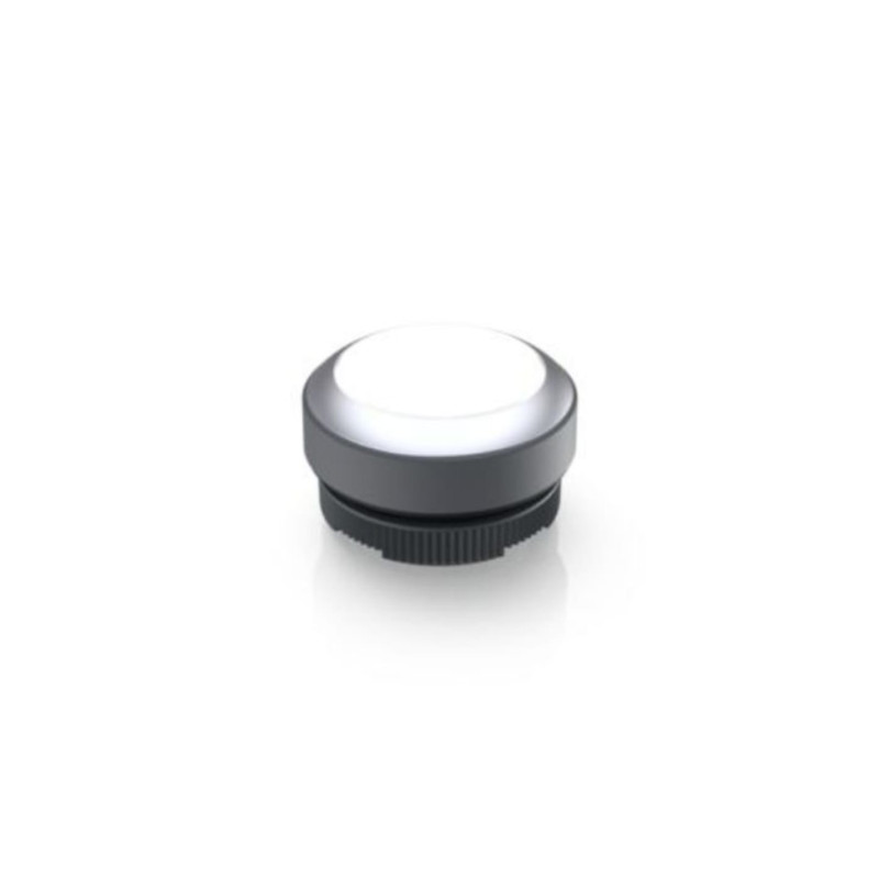 1.30.270.021/2200 luminous push-button key 22mm, KS
