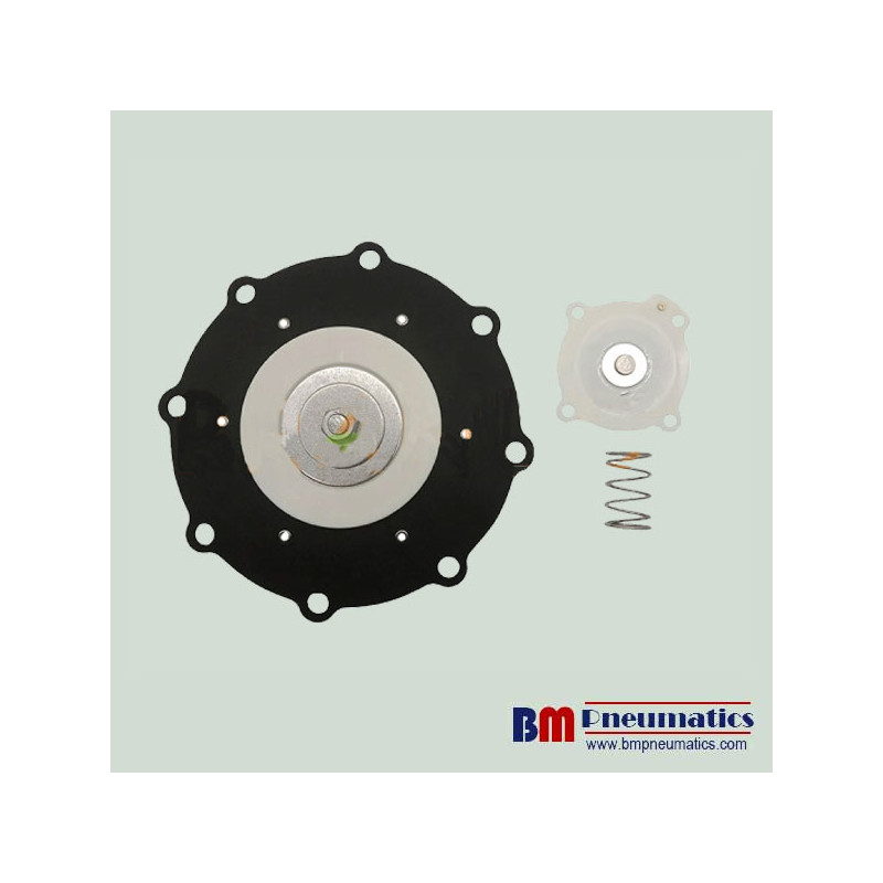 DI-FDO4SHH6B-NSCP50T135J10-S Diaphragm Kit