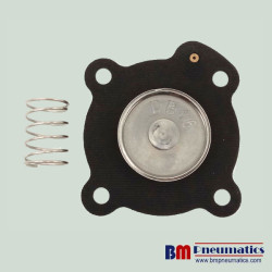 DI-FDO4SHH6B-NSCP50T135J10-S Diaphragm Kit