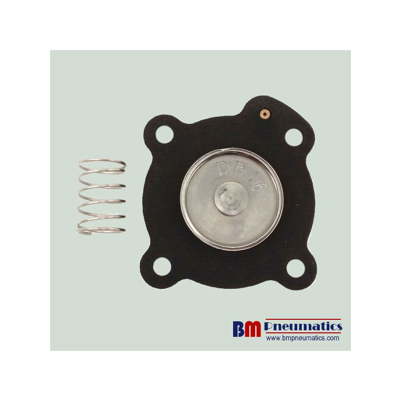 DI-FDO4SHH6B-NSCP50T135J10-S Diaphragm Kit